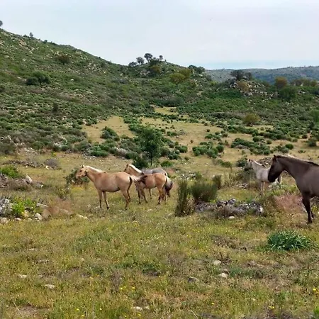 Casa Historias Tatil Evi