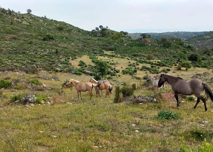 Casa Historias Prázdninový dům